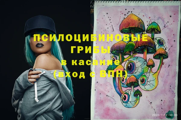 спиды Краснослободск