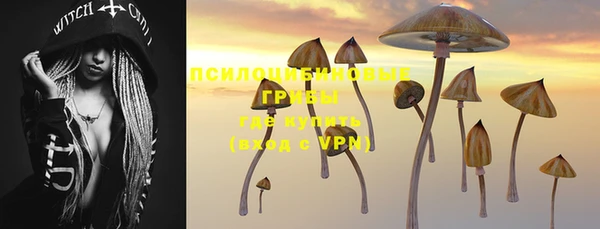 ПСИЛОЦИБИНОВЫЕ ГРИБЫ Лабытнанги