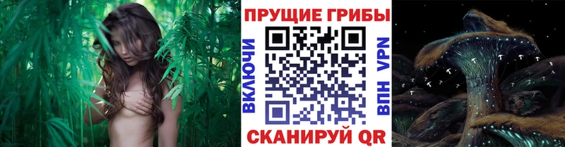 Псилоцибиновые грибы ЛСД Удачный